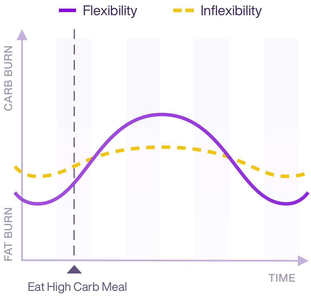 Metaboilic Flexibility chart